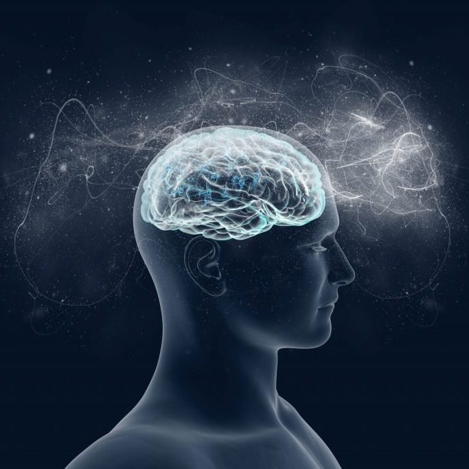 shutterstock_326869622-1-1024x683 shutterstock_326869622-1-1024x683
